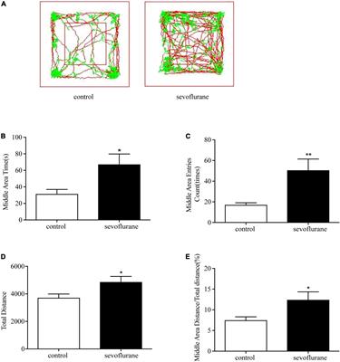 Sevoflurane Exposure in the Developing Brain Induces Hyperactivity, Anxiety–Free, and Enhancement of Memory Consolidation in Mice